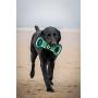 Pets First NCAA Football Field Dog Toy with Squeaker. - Iowa Hawkeyes - for Tug, Toss, and Fetch. - Tough & Durable PET Toy