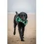 Pets First NCAA Football Field Dog Toy with Squeaker. - Iowa Hawkeyes - for Tug, Toss, and Fetch. - Tough & Durable PET Toy Pets First NCAA Football Field Dog Toy with Squeaker. - Iowa Hawkeyes - for Tug, Toss, and Fetch. - Tough & Durable PET Toy