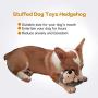 CPYOSN Hedgehog Dog Toys, Dog Squeak Plush Pet Toys Intreactive Training Stuffed Dog Chew Toys for Puppies and Small Dogs, 2 Pack