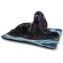 Nomorer Cat Bed Animal for Litter Boxes Illustration of a Frog from Behind Little Paws Tropic Nature Wildlife Modern Green White Yellow