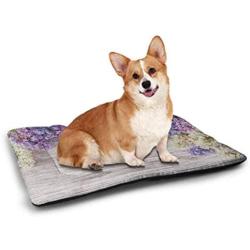 Rustic Pet Mat Bed Dramatic Sunset Agricultural Field Sunbeams Bursting Through Dark Clouds Scene Housebreaking Absorption Pads Green Yellow