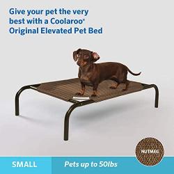 Coolaroo Elevated Pet Bed Small Nutmeg