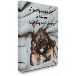 Stupell Industries Three Day Weekend Phrase Funny Puppy Pet Humor, Designed by Ziwei Li Wall Art, 24 x 30, Canvas