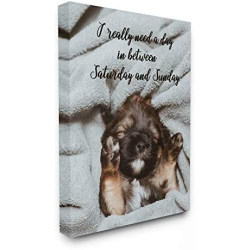 Stupell Industries Three Day Weekend Phrase Funny Puppy Pet Humor, Designed by Ziwei Li Wall Art, 16 x 20, Canvas