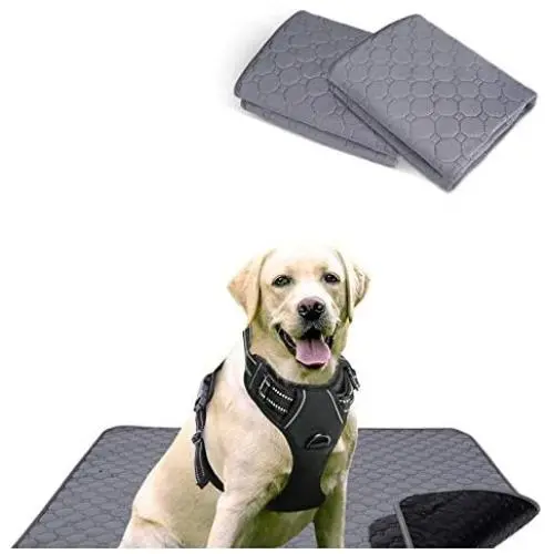 rabbitgoo Dog Harness & Dog Potty Training Pee Pads - Adjustable No Pull Dog Vest with Leash Clips(L) | Washable Pee Pads for Dogs and Cats Waterproof Large Puppy Pads Super Absorbent Non-Slip