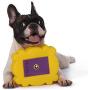 Friends TV Show Friends Dog Toy | Gold and Purple Picture Frame from Friends TV Show, Vinyl Rubber Dog Toy | Squeaky Dog Toy - Friends TV Show Merchandise