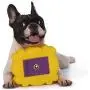 Friends TV Show Friends Dog Toy | Gold and Purple Picture Frame from Friends TV Show, Vinyl Rubber Dog Toy | Squeaky Dog Toy - Friends TV Show Merchandise Friends TV Show Friends Dog Toy | Gold and Purple Picture Frame from Friends TV Show, Vinyl Rubber Dog Toy | Squeaky Dog Toy - Friends TV Show Merchandise