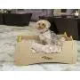 PETIQUE BD07010000 Pet Bed, Kraft, One Size PETIQUE BD07010000 Pet Bed, Kraft, One Size