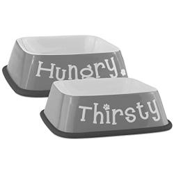 Bone Dry Hungry & Thirsty Pet Bowl