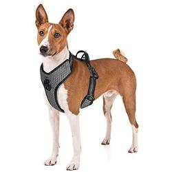 No Pull Dog Harness with Handle, Front Clip for Easy Walk Training Hiking, No Choke Adjustable Reflective Soft Padded Heavy-Duty Dog Vest for Small/Medium/Large Breed Dogs Puppy - Best Dog Puppies