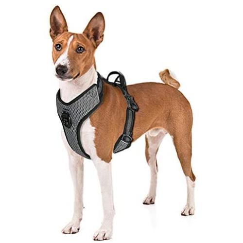 No Pull Dog Harness with Handle, Front Clip for Easy Walk Training Hiking, No Choke Adjustable Reflective Soft Padded Heavy-Duty Dog Vest for Small/Medium/Large Breed Dogs Puppy - Best Dog Puppies