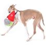 Midlee Gnome Hidden Ball Christmas Dog Toy