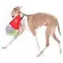Midlee Gnome Hidden Ball Christmas Dog Toy Midlee Gnome Hidden Ball Christmas Dog Toy