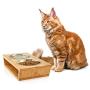 Premium Elevated Dog and Cat Pet Feeder, Double Bowl Raised Stand Comes with Extra Two Stainless Steel Bowls. Perfect for Small Dogs and Cats