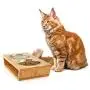 Premium Elevated Dog and Cat Pet Feeder, Double Bowl Raised Stand Comes with Extra Two Stainless Steel Bowls. Perfect for Small Dogs and Cats Premium Elevated Dog and Cat Pet Feeder, Double Bowl Raised Stand Comes with Extra Two Stainless Steel Bowls. Perfect for Small Dogs and Cats