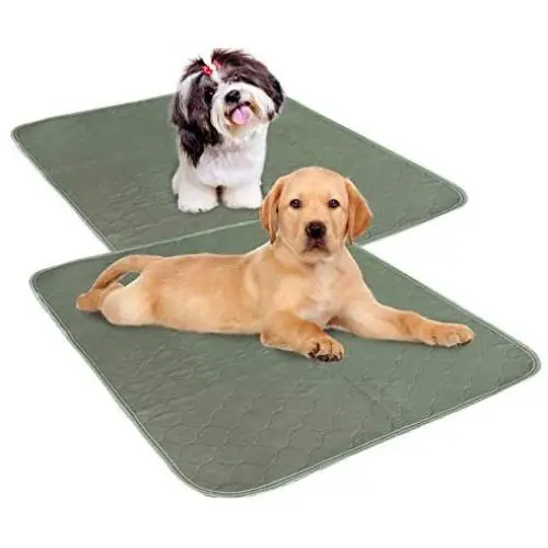 Millie Mats Washable Dog Pee Pads for Puppies, Incontinent & Senior Dogs. Leak Proof to Protect Floors, Car, Keep Crate Easy to Clean. Reusable Indoor Potty Pad Puppy Tested Size 31'' x 36'' 2 Pack Millie Mats Washable Dog Pee Pads for Puppies, Incontinent & Senior Dogs. Leak Proof to Protect Floors, Car, Keep Crate Easy to Clean. Reusable Indoor Potty Pad Puppy Tested Size 31'' x 36'' 2 Pack