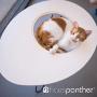 Primetime Petz Hauspanther Nestegg - Raised Cat Bed & Side Table