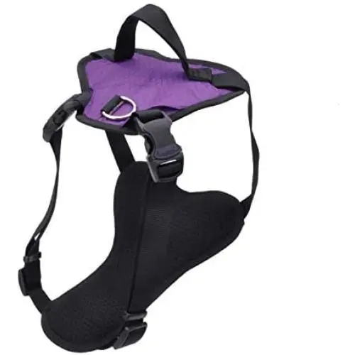 Coastal Pets Inspire Harness 1'' x 26''-38'' Inspire Purple Coastal Pets Inspire Harness 1'' x 26''-38'' Inspire Purple