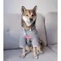 ChoChoCho Pup Dog Hoodie Pet Clothing Cotton Cat Hoodies Stylish Streetwear Sweatshirt Gray Tracksuits Outfit for Dog Cat Puppy Small Medium Large (XL) ChoChoCho Pup Dog Hoodie Pet Clothing Cotton Cat Hoodies Stylish Streetwear Sweatshirt Gray Tracksuits Outfit for Dog Cat Puppy Small Medium Large (XL)