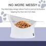 Frewinky Cat Bowl,Ceramic Cat Bowls Anti Vomiting,Raised Cat Food Bowl for Flat Cats and Small Dogs,Tilted Elevated Cat-Bowl Protect Pets Spine,No Whisker Fatigue