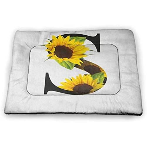 DayDayFun Letter R Pet Mat Customization Gothic Medieval Inspired Alphabet Font Capital R Calligraphic Design Illustration Easy-to-Clean Pet Mat Black White