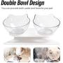 TENGTUNG Elevated Cat Bowls Pet Food Water Bowls with Raised Stand 15°Tilted Raised Pet Feeder Bowl Easy to Clean Perfect for Cats and Small Dogs