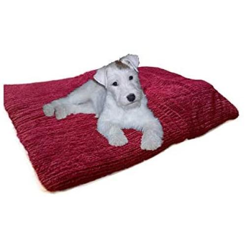 ALL FOR PAWS Top Body Heat Conducting Pet Bed - Comfy Memory Foam Cushion - Doubles as Crate Mat Pets from Large Breed Dogs to a Litter of Kittens or Cat - 29” x 19” x 2”