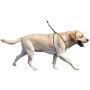 Company of Animals Lupi Non-Pull Harness Puppy Dog Harness, Large