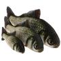 Pepoot Grass Carps Cat Toy Fish Plush Catnip Toys Fishes Shape Doll Interactive Pets Pillow Chew Bite Supplies for Cat Dogs (11.82'')