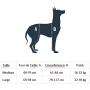 PetSafe CareLift Lifting Harness - Full Body Lifting Aid with Handle - Ideal for Mobilising Sick or Older Pets - Comfortable Breathable Material - Easy to Adjust