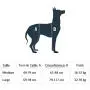 PetSafe PetSafe CareLift Support Harness - Full-Body Lifting aid with Handle - Great for pet Mobility and Older Dogs - Comfortable, Breathable Material - Easy to Adjust - Medium PetSafe PetSafe CareLift Support Harness - Full-Body Lifting aid with Handle - Great for pet Mobility and Older Dogs - Comfortable, Breathable Material - Easy to Adjust - Medium