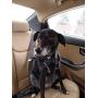 Andaconna LLC The Rosie Clip: Pet Seat Belt - Seat Belt Connector - Pet Travel Support Device - Pet Accessories