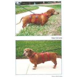 Harness for Dachshunds & Small Breeds. Cats Too