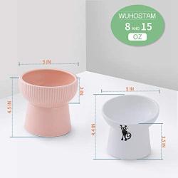 Raised Cat Food and Water Bowl Set,15 Ounces Pink Elevated Cat Feeder Bowl & White Tilted Elevated Cat Bowl,Ceramic Pet Bowls with Stand,Protect Pets Spine,Backflow Prevention,2 Pack