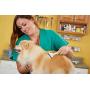 Andis Pet DeShedding Tool (65760)