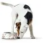HUNTER HT65140 Mogami Melamine Bowl HUNTER HT65140 Mogami Melamine Bowl