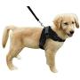 Heavy Duty Adjustable Pet Puppy Dog Safety Harness with Leash Lead Set Reflective No-Pull Breathable Padded Dog Leash Collar Chest Harness Vest with Handle for Small Medium Large Dogs Training Walking Heavy Duty Adjustable Pet Puppy Dog Safety Harness with Leash Lead Set Reflective No-Pull Breathable Padded Dog Leash Collar Chest Harness Vest with Handle for Small Medium Large Dogs Training Walking
