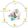 Interactive Cat Toys with Catnip Ball 2 Pack Pet Balance Swing car Balanced Cat Toy for Indoor Cats Rotating Rolling Balls for Cat/Kitten Pet Entertainment Hunting Exercise