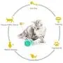 Interactive Cat Toys with Catnip Ball 2 Pack Pet Balance Swing car Balanced Cat Toy for Indoor Cats Rotating Rolling Balls for Cat/Kitten Pet Entertainment Hunting Exercise
