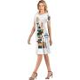Group of Dog Hair Fallen After groomind and Comb,Fashion Women Slim Party Dress Put on Black Board S