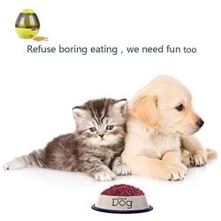 Pet (Dog and Pet) Toy Ball Tumbler Food Dispenser Improve IQ Fun Toy Leakage Hole can be Adjusted (Green)