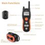 PetInn Dog Training Collar Bundle with Dog Treat Toy Ball