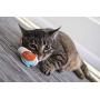 Petlinks Electronic Light Cat Toy