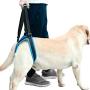 RC GearPro Dog Lift Harness for Back Legs, Pet Support Sling Help Weak Legs Stand Up Injured Disabled Arthritis ACL Joint Pain Elderly