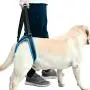 RC GearPro Dog Lift Harness for Back Legs, Pet Support Sling Help Weak Legs Stand Up Injured Disabled Arthritis ACL Joint Pain Elderly RC GearPro Dog Lift Harness for Back Legs, Pet Support Sling Help Weak Legs Stand Up Injured Disabled Arthritis ACL Joint Pain Elderly