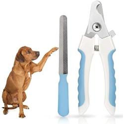 COMBOMTEK Dog Nail Clippers & File + Free Dog Grooming Scissors & Comb + Free Dog Shampoo Brush | Pet Grooming Kit | Cat Nail Trimmer, Cat Grooming Scissors, Cat Bath Brush…