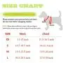 BWOGUE Dog Safety Vest Harness with Seat Belt Strap Car Headrest Restraint Pet Dog Adjustable Nylon Mesh Harness Travel Strap Seatbelts Harness BWOGUE Dog Safety Vest Harness with Seat Belt Strap Car Headrest Restraint Pet Dog Adjustable Nylon Mesh Harness Travel Strap Seatbelts Harness