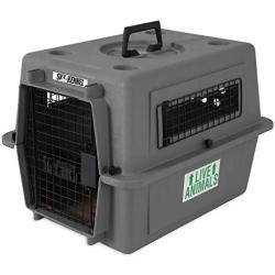 Petmate Sky Kennel Pet Carrier