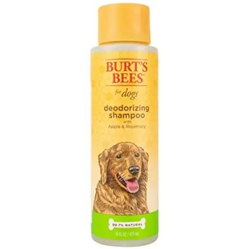 Burt’s Bees for Dogs Oatmeal Shampoo with Colloidal Oat Flour and Honey | Best Natural Dog Shampoo for Dry Skin | Great for Sensitive Skin, 16 Ounces Burt’s Bees for Dogs Oatmeal Shampoo with Colloidal Oat Flour and Honey | Best Natural Dog Shampoo for Dry Skin | Great for Sensitive Skin, 16 Ounces