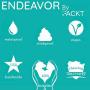 PACKT - Endeavor All-Terrain Dog Harness - Waterproof, Stinkproof, American Made